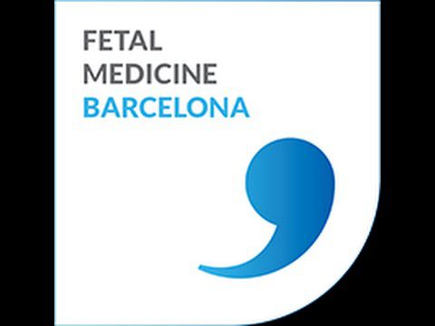 medicina-fetal-barcelona-ecografia - Barcelona Noticias 24h medicina fetal barcelona ecografia