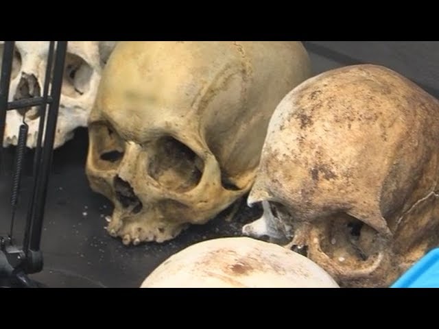 medicina-forense-barcelona - Barcelona Noticias 24h medicina forense barcelona