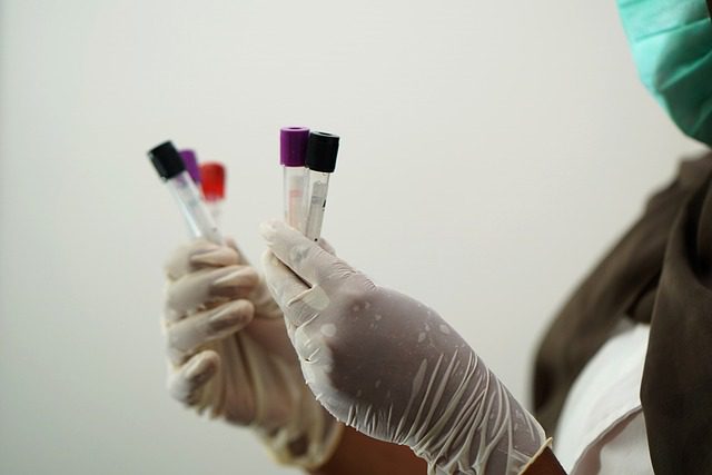 cribado renal - IP - Barcelona Noticias 24h