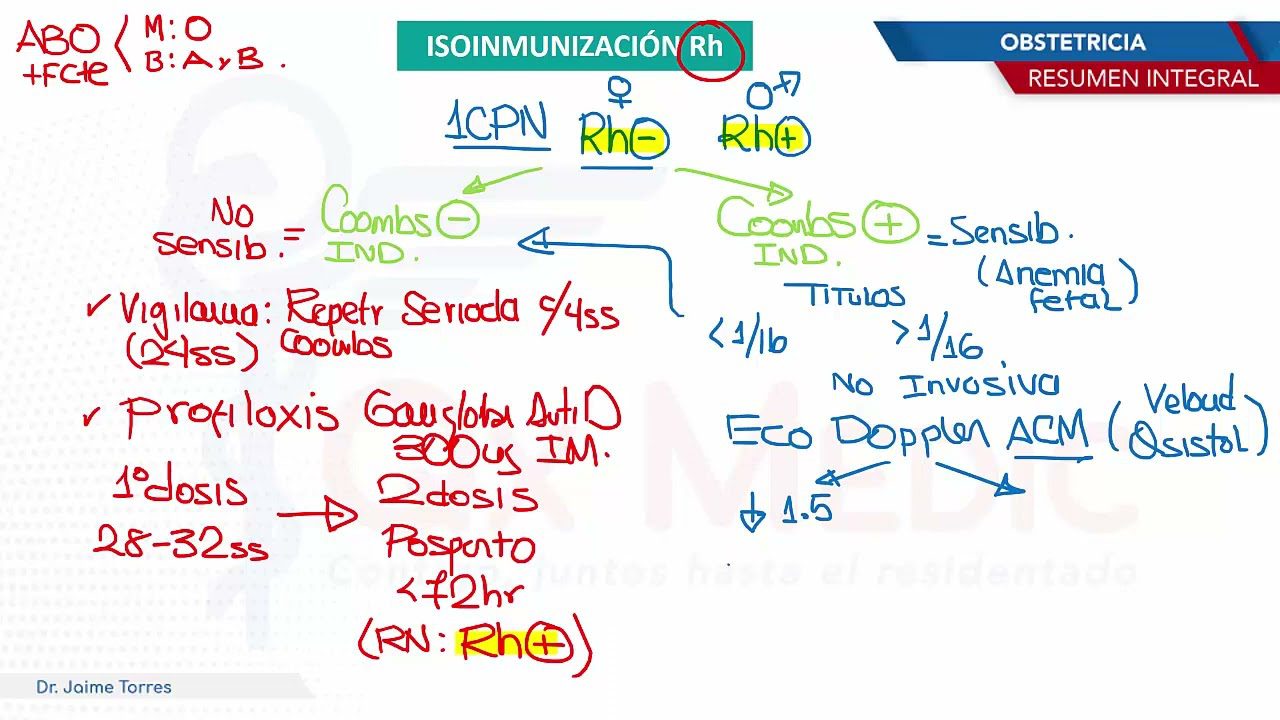 medicina-fetal-barcelona-protocolos-isoinmunizacion - Barcelona Noticias 24h medicina fetal barcelona protocolos isoinmunizacion