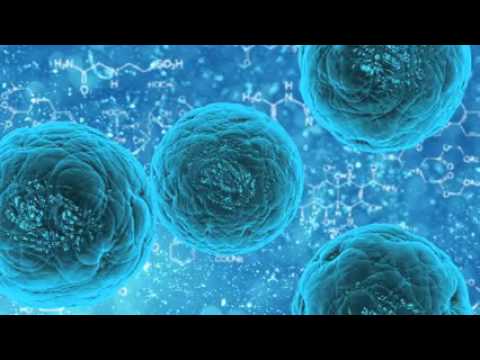medicina-regenerativa-en-barcelona - Barcelona Noticias 24h medicina regenerativa en barcelona