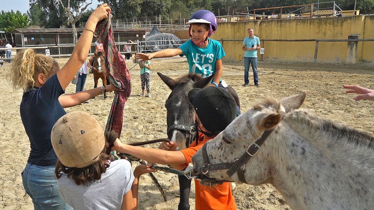 que-hacer-con-ninos-en-Sabadell-en-primavera - Barcelona Noticias 24h qué hacer con niños en Sabadell en primavera