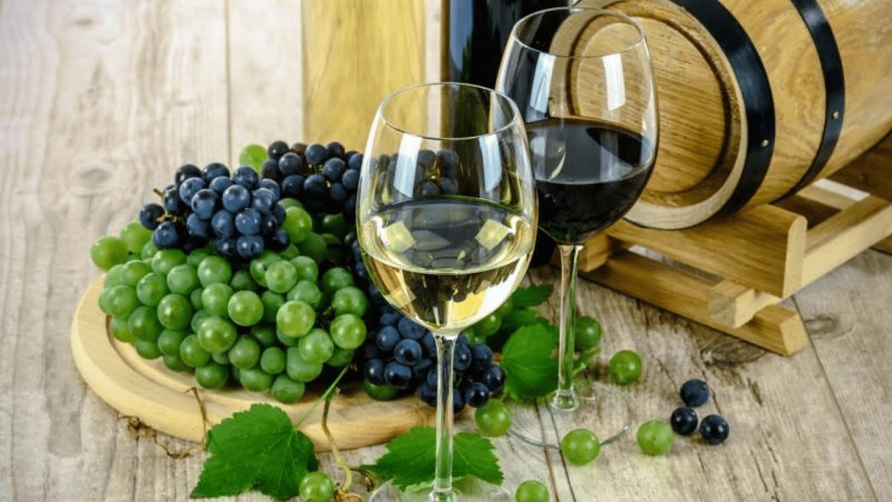 turismo-cultural-en-Santa-Coloma-de-Gramenet-si-eres-amante-del-vino - Barcelona Noticias 24h turismo cultural en Santa Coloma de Gramenet si eres amante del vino