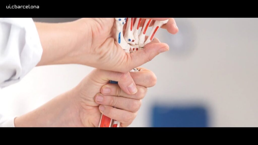 estudiar fisioterapia barcelona