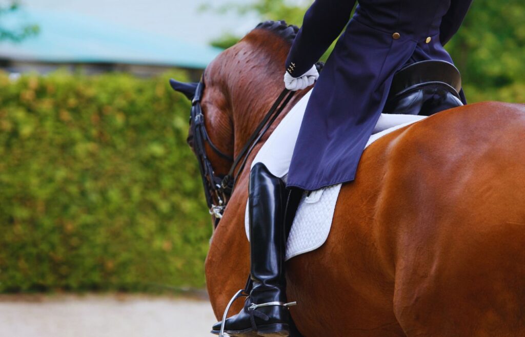 Rider in a navy jacket and white gloves on a brown horse, white saddle pad and tall black boots in a riding arena