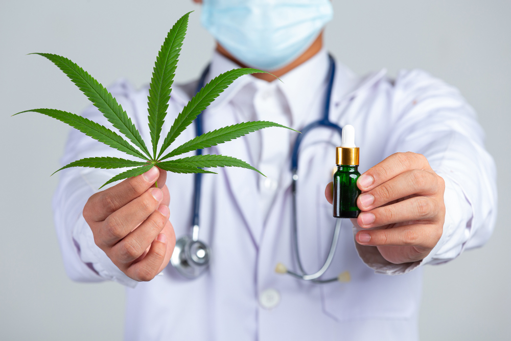 El uso medicinal del cannabis avanza con nuevas opciones terapéuticas - 776636 - Phenosphere - Barcelona Noticias 24h El uso medicinal del cannabis avanza con nuevas opciones terapéuticas